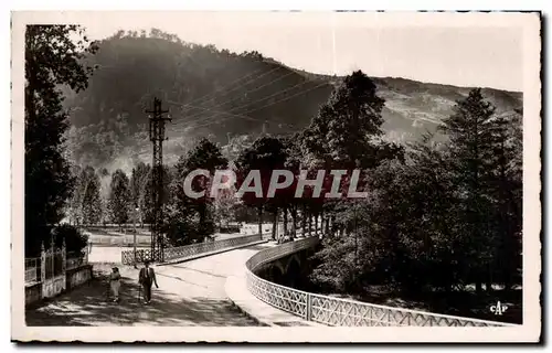 Cartes postales Vic sur Cere Le Pont et le Parc