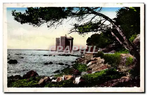 Cartes postales Ile St Honorat Ancien Monastere a Travers les Pins