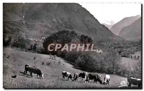 Cartes postales Les Alpes Vallee de la Severassie Vaches au Paturage A Gauche Saint Firmin