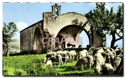 Moderne Karte La Provence Une Vielle Chapelle Moutons