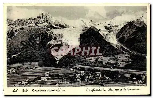 Ansichtskarte AK Chamonix Abont Blanc Les Glaciers des Bossons et de Caconnaz