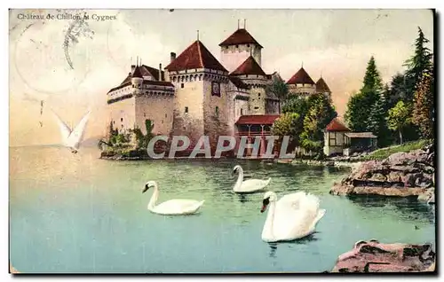 Ansichtskarte AK Chateau De Chillon Et Cygnes