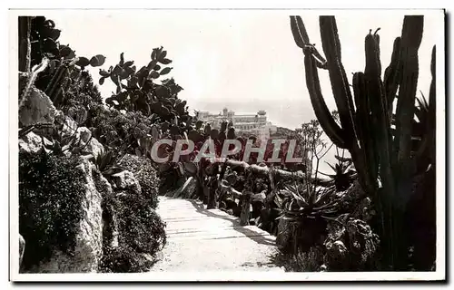 Cartes postales Monaco Les Jardins Exotiques