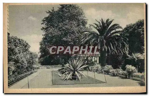 Cartes postales Insel Mainau Partie Bei Der Phonixpalme