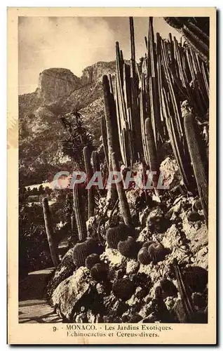 Cartes postales Monaco Les Jardins Exotiques Echinocactus Et Cereus Divers