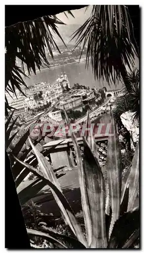 Cartes postales Monte Carlo et le Casino vus du Jardin Exotique