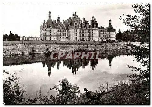 Ansichtskarte AK Le Chateau de Chambord Le Chateau vu des bords du Cosson