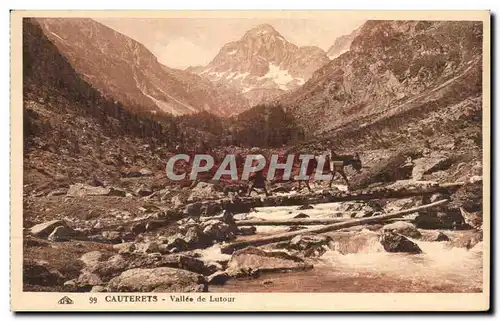 Cartes postales Cauterets Vallee de Lutour Ane