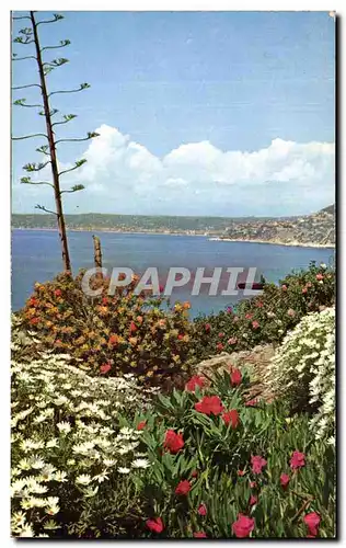 Cartes postales moderne Cote D&#39Azur Jardin fleuri Echappee sur la mer Dans le fond La baie des anges a Nice