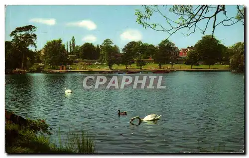 Cartes postales The Lake Petersfield