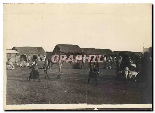 Photo village en Afrique (Madagascar ?) Chameau