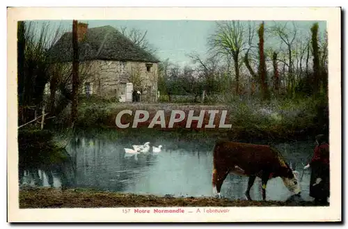 Cartes postales moderne Notre Normandie A l&#39abreuvoir Vache