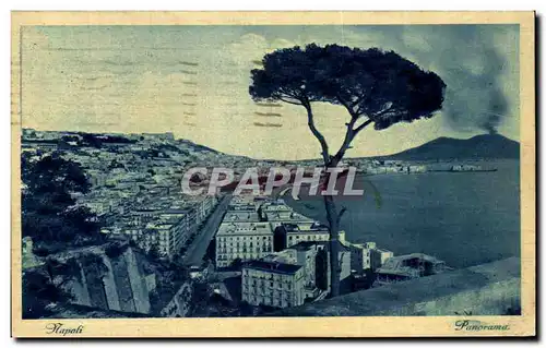 Cartes postales Napoli Panorama