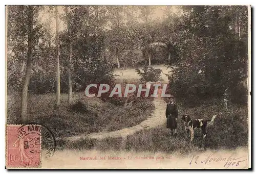 Ansichtskarte AK Nanteuil Les Meaux Le Chemin du petit val