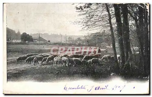 Cartes postales Berger et moutons