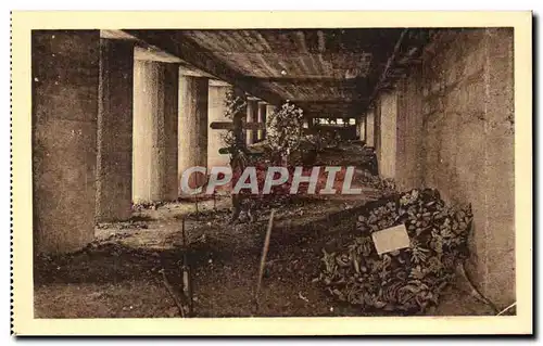 Cartes postales Thiaumont pres Douaumont La Tranchee de baionnettes Vue generale Militaria