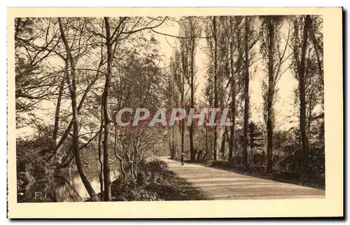 Cartes postales La Ville Renaissante Reims Bords de Vesle