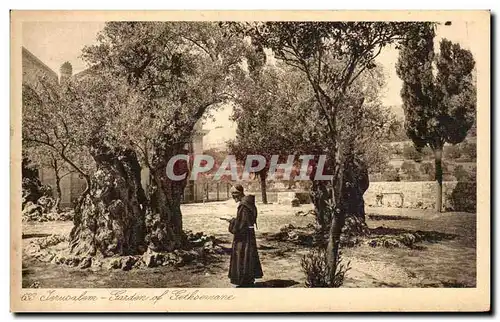 Cartes postales Jerusalem Jardin De Gethsemane