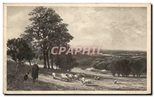 Cartes postales Young Moutons