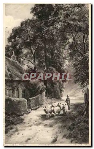 Cartes postales Hill Moutons