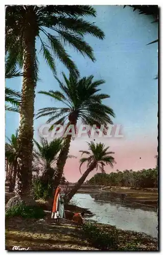 Cartes postales L&#39Afrique Du Nord La Riviere Algerie