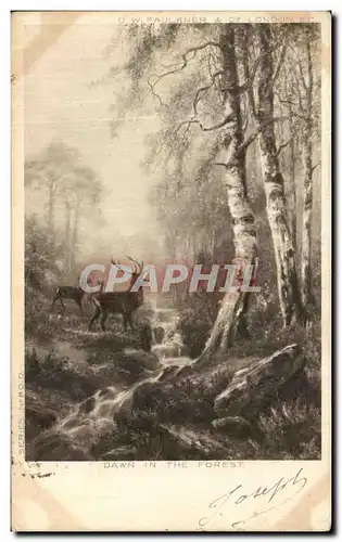 Cartes postales Dawn In The Forest London Biche