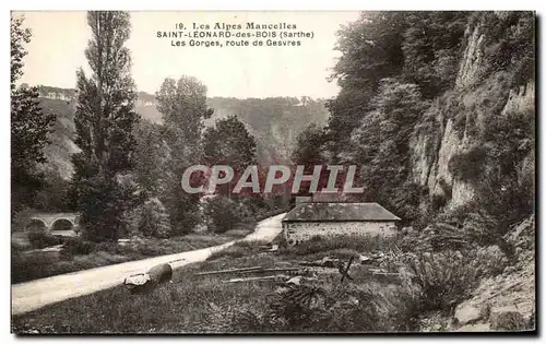 Ansichtskarte AK Les Alpes Mancelles Saint Leonard des Bois Les gorges route de Gesvres