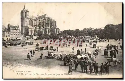 Ansichtskarte AK Le Mans La Place des Jacabins un Jour de marche Vaches Boeufs