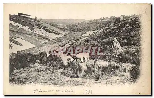 Cartes postales St Leonard des Bois Saint Leonard Berger et moutons