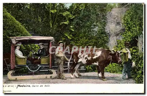 Cartes postales Madeira Carro De Bois Attelage de boeufs