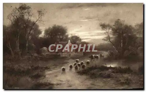 Cartes postales Troupeau de moutons