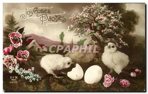 Cartes postales Fantaisie Paques oeufs Poussins