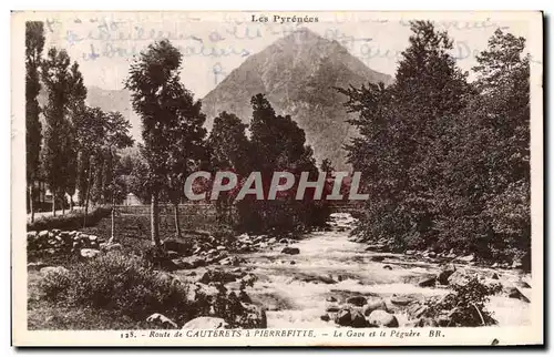 Cartes postales Les Pyrennes Route de Cauterets a Pierrefitte Le Gave et le Peguere