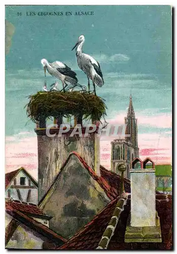 Cartes postales Fantaisie Les cigognes en Alsace Strasbourg