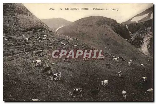 Ansichtskarte AK Le Mont Dore Paturage Sancy Vaches