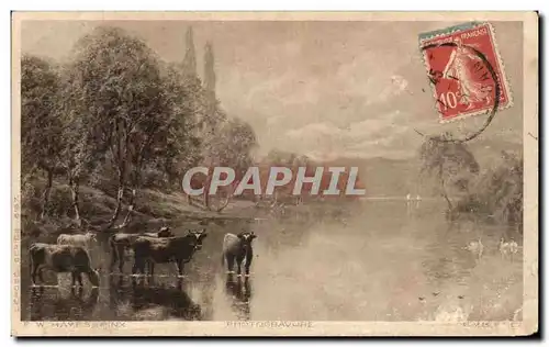 Cartes postales Paysage Vaches