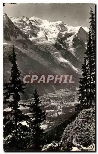 Cartes postales Chamonix alt La Vallee de Chamonix et le Mont Blanc Vus de la Flegere