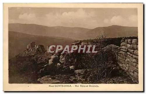 Cartes postales Mont ste Odile Mur Paien et Dreistein