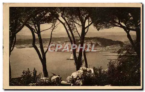 Cartes postales Cote d&#39Azur Artistique Nice Vue Entre Les pins