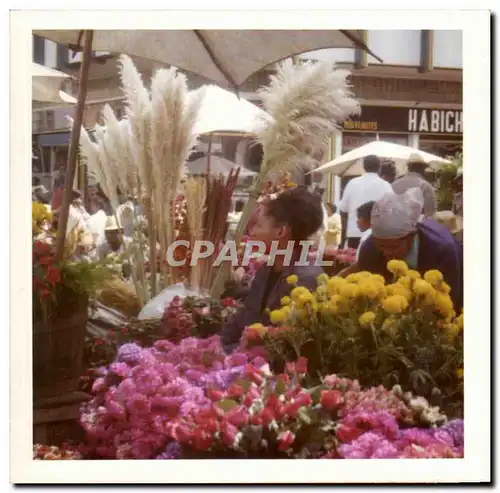 Photo Fleuriste Fleurs