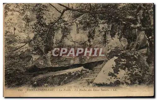 Cartes postales Fontainebleau La Foret La Roche des Deux soeurs