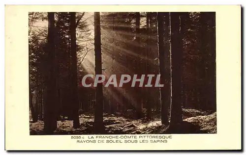 Cartes postales La France Comte Pittoresque Rayons De Soleil Sous Les Sapins