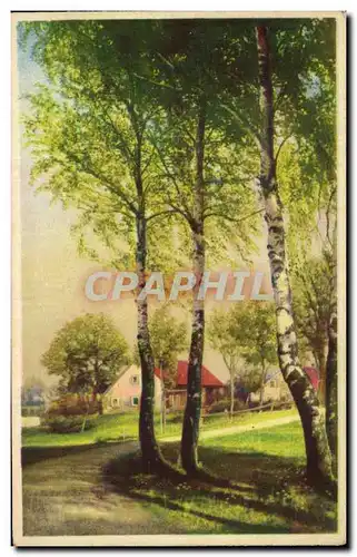 Cartes postales Fantaisie Paysage