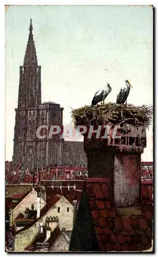 Ansichtskarte AK Strasbourg Cathedrale Cigognes