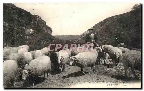 Cartes postales Scenes Et Types Des Pyrenees Un Berger Moutons