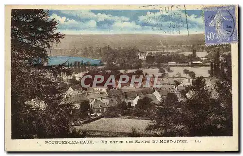 Cartes postales Pougues Les Bains Vu entre Les Sapins Du Mont Givre