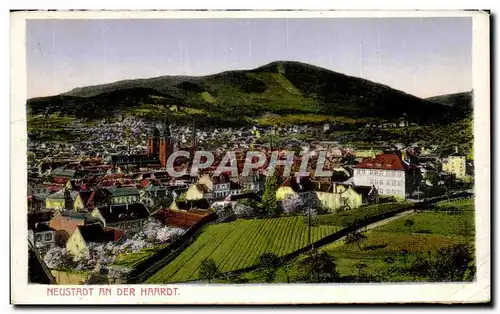 Cartes postales Neustrdt An Der Haardt