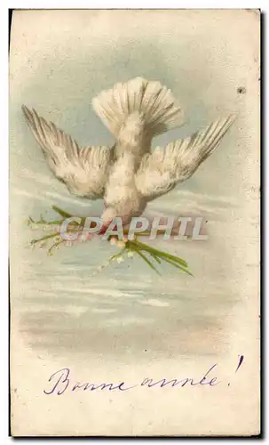 Cartes postales Fantaisie Colombe