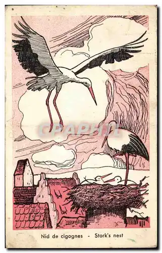 Cartes postales Fantaisie Oiseaux Nid de cigogne