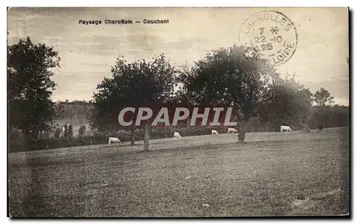 Cartes postales Paysage Charollas Couchant Vaches